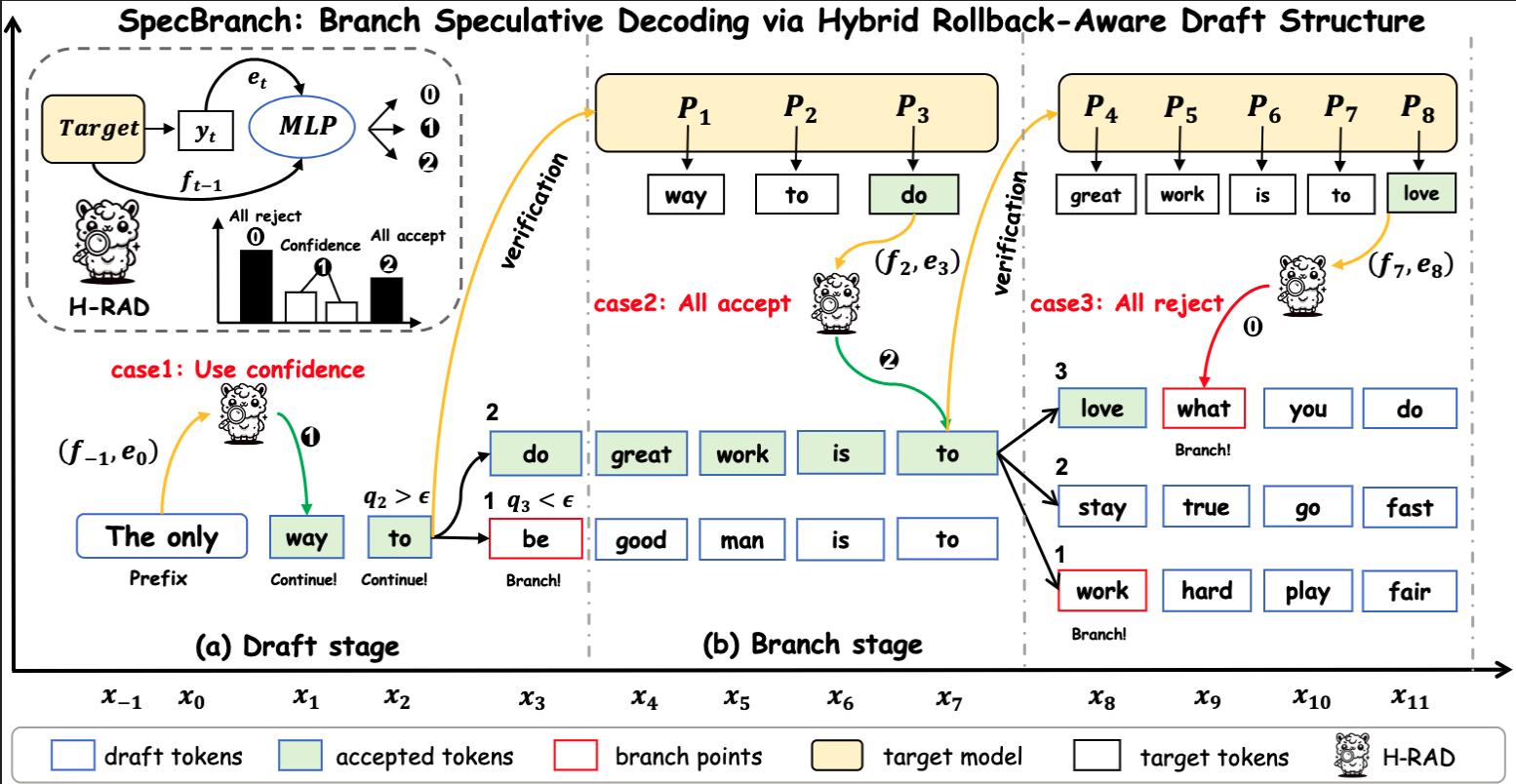 SpecBranch illustration